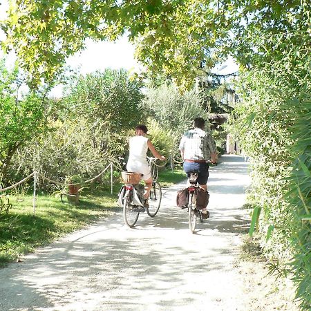 טרוויניאנו רומאנו International Glamping Lago Di Bracciano מראה חיצוני תמונה