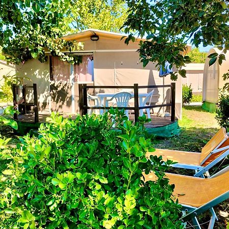 טרוויניאנו רומאנו International Glamping Lago Di Bracciano מראה חיצוני תמונה