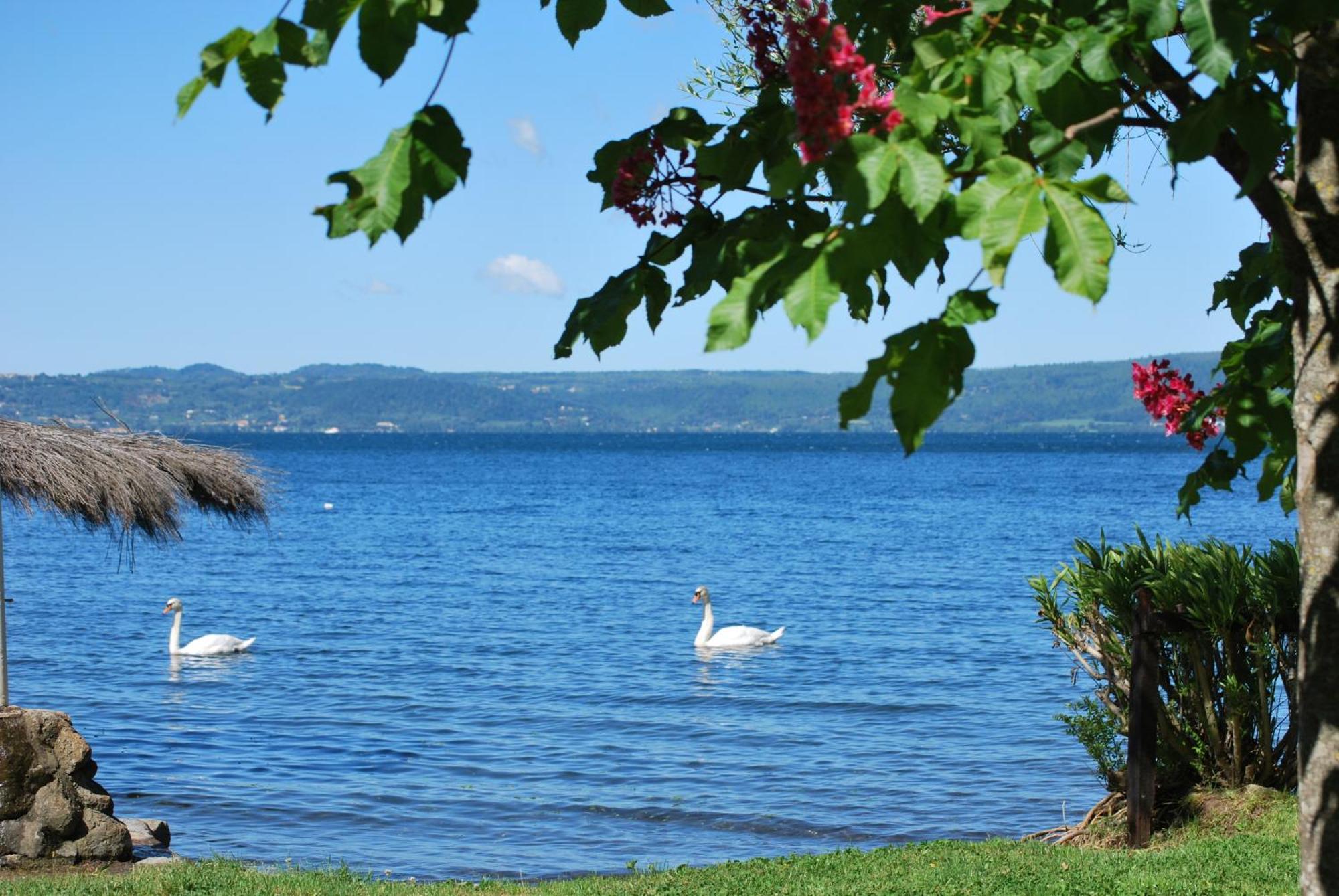 טרוויניאנו רומאנו International Glamping Lago Di Bracciano מראה חיצוני תמונה