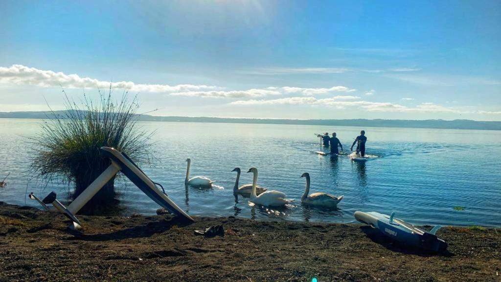 טרוויניאנו רומאנו International Glamping Lago Di Bracciano מראה חיצוני תמונה