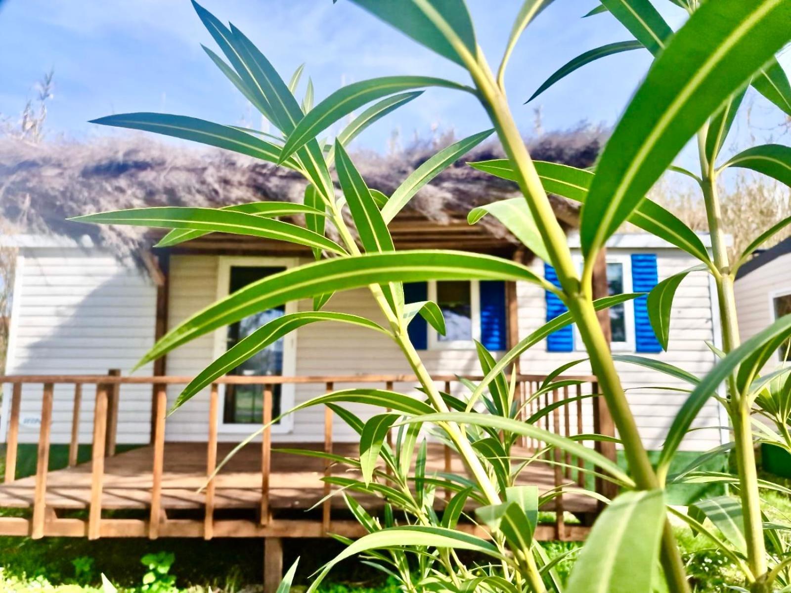 טרוויניאנו רומאנו International Glamping Lago Di Bracciano מראה חיצוני תמונה