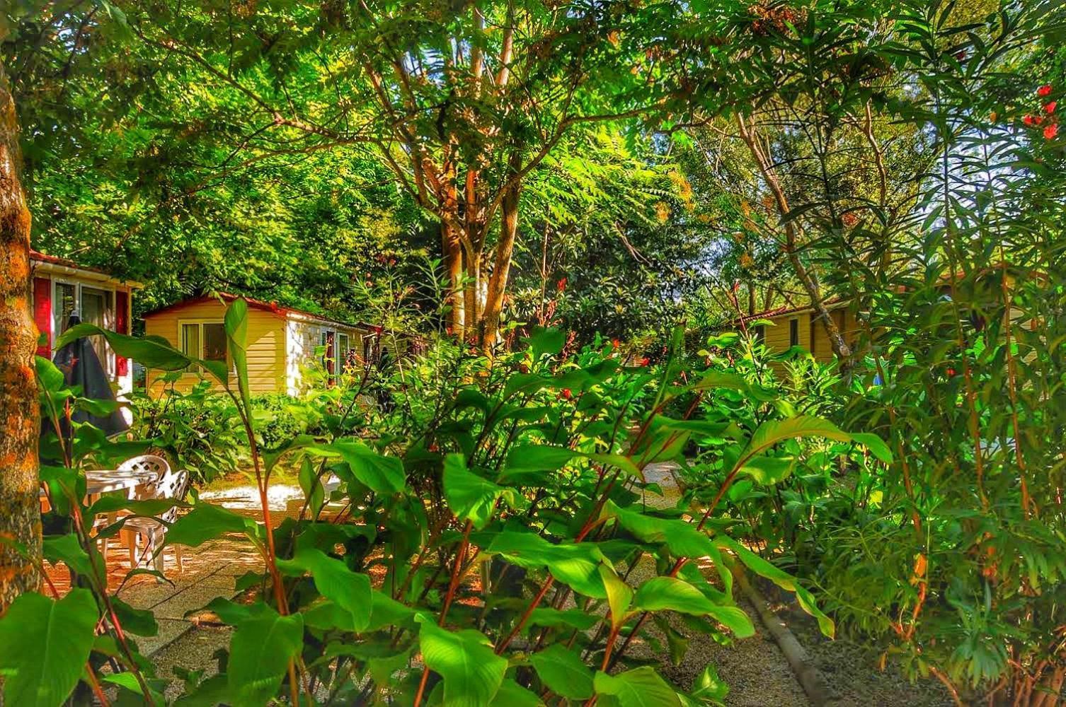 טרוויניאנו רומאנו International Glamping Lago Di Bracciano מראה חיצוני תמונה