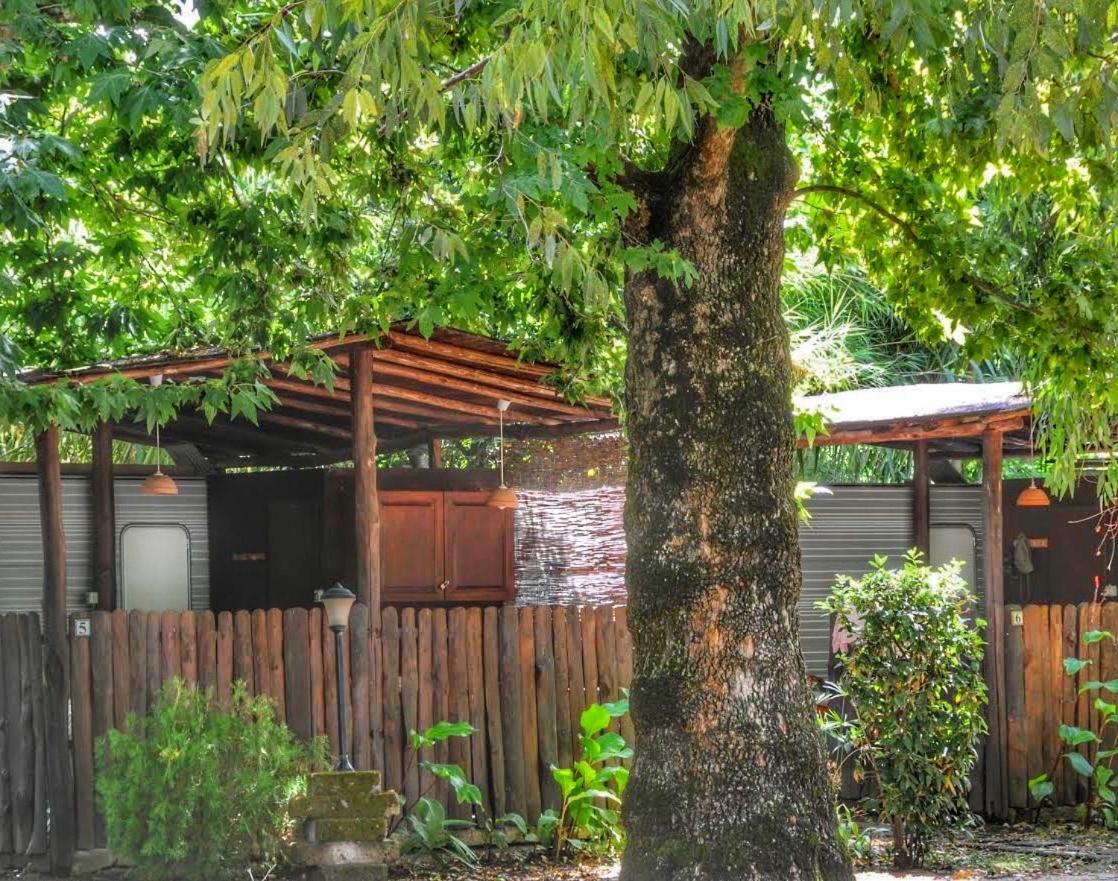 טרוויניאנו רומאנו International Glamping Lago Di Bracciano מראה חיצוני תמונה