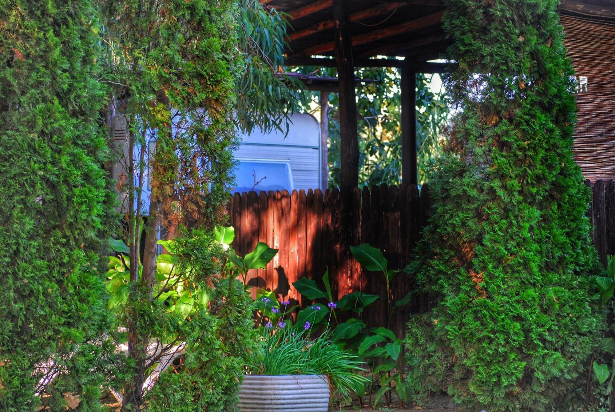 טרוויניאנו רומאנו International Glamping Lago Di Bracciano מראה חיצוני תמונה