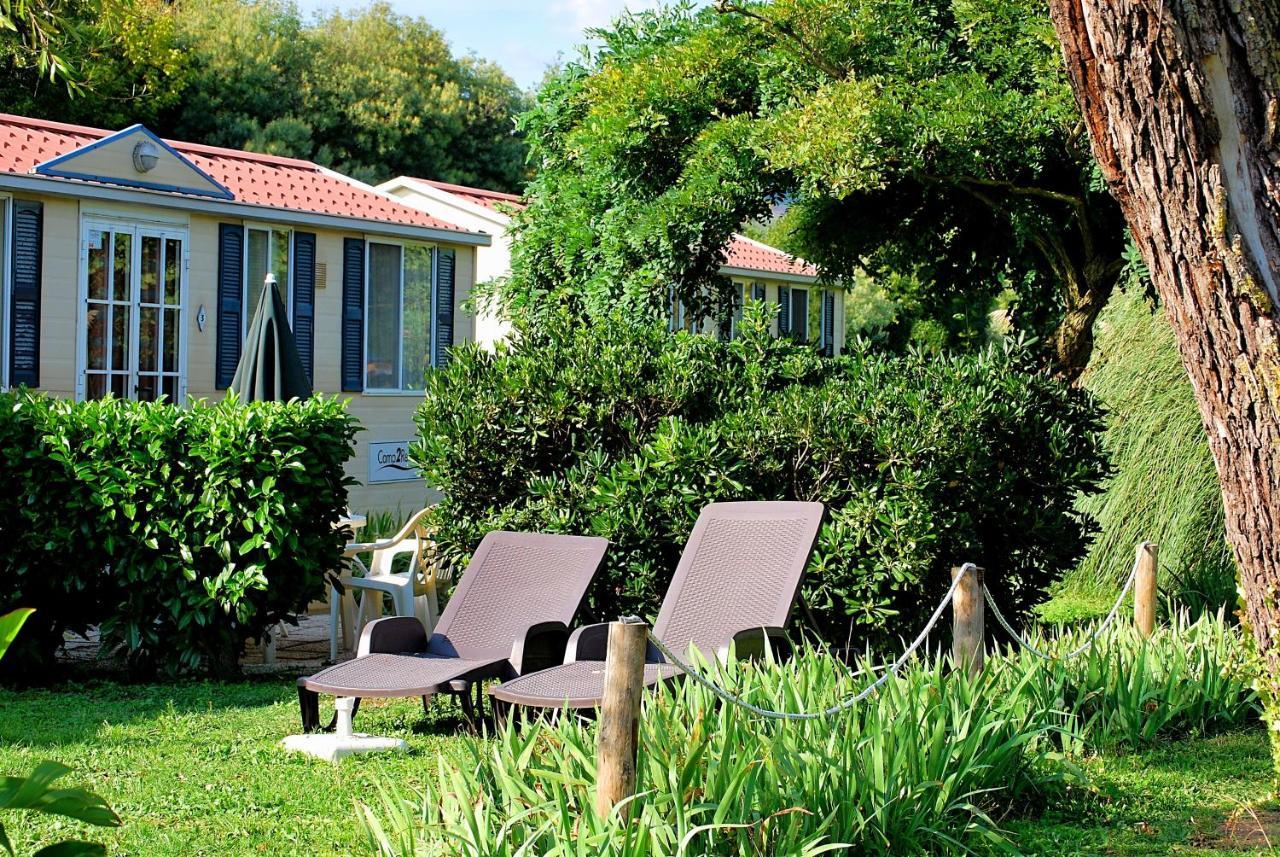 טרוויניאנו רומאנו International Glamping Lago Di Bracciano מראה חיצוני תמונה